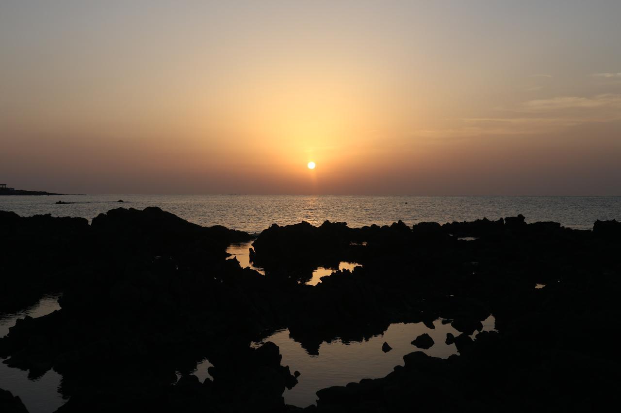Blue Island Guesthouse Seogwipo-stad Buitenkant foto