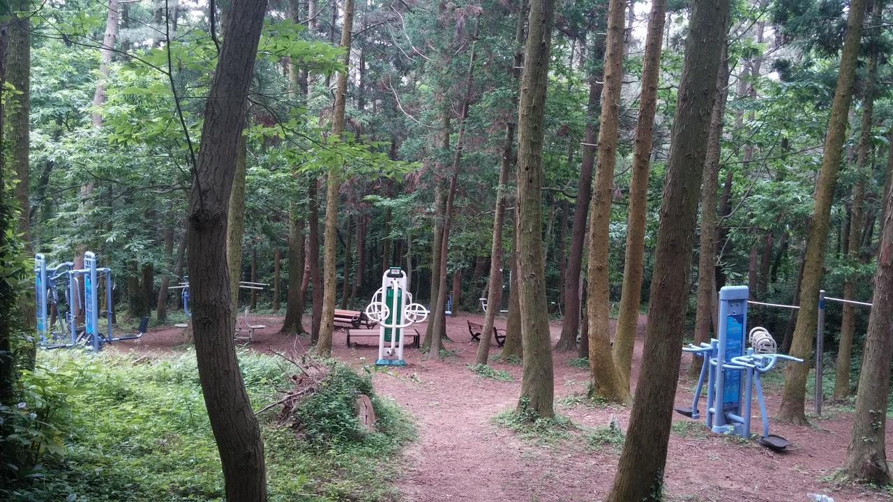 Blue Island Guesthouse Seogwipo-stad Buitenkant foto